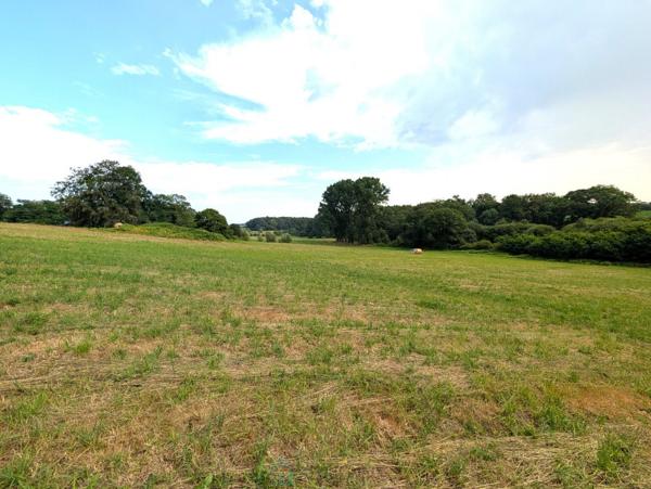 Propriété sur 27 hectares, maison 179 m2, bâtiments de 700 m2 salle de réception et 600 m2 garage
