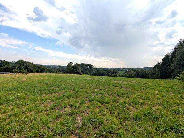 Propriété sur 27 hectares, maison 179 m2, bâtiments de 700 m2 salle de réception et 600 m2 garage