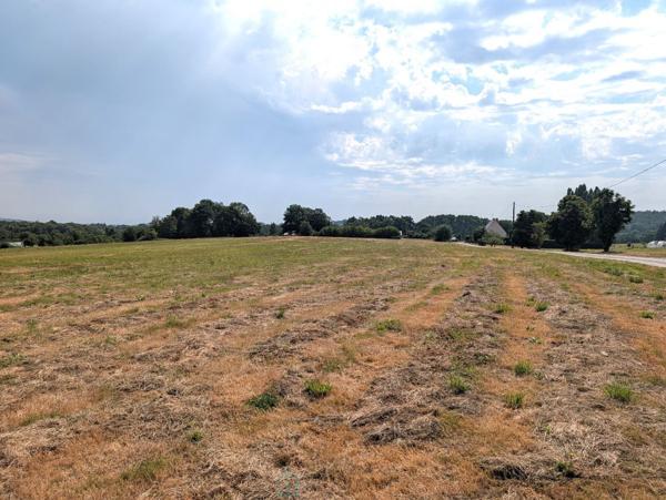 Propriété sur 27 hectares, maison 179 m2, bâtiments de 700 m2 salle de réception et 600 m2 garage