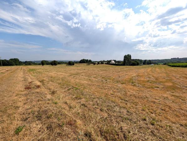 Propriété sur 27 hectares, maison 179 m2, bâtiments de 700 m2 salle de réception et 600 m2 garage