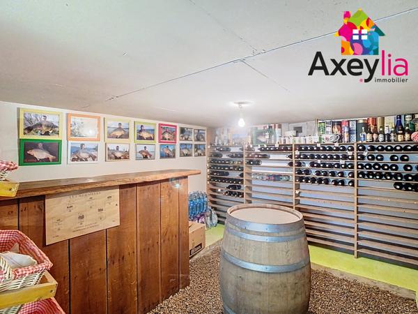 Roanne (42300) A VENDRE- A 15 MINUTES DE ROANNE- MAISON AVEC VUE DÉGAGÉE ET DÉPENDANCES.