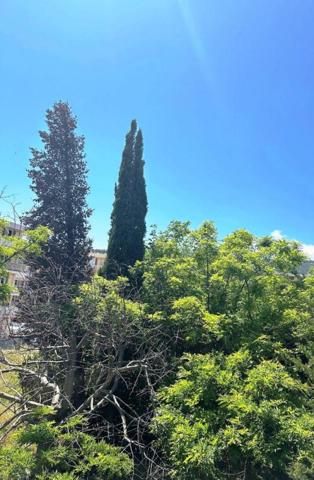 T3 en rez-de-jardin avec terrasse et jardin plein sud - La Marine, La Ciotat