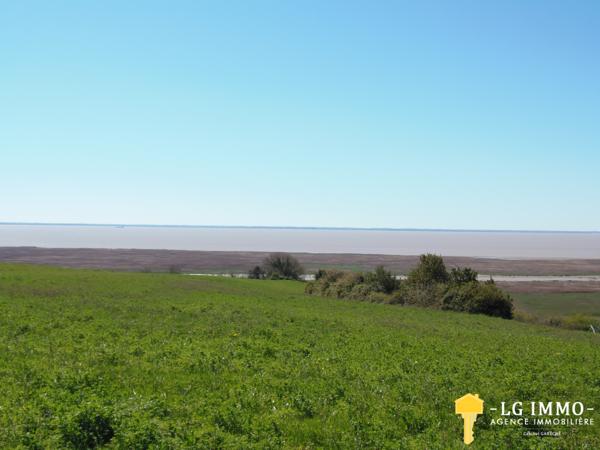 Votre recherche de biens