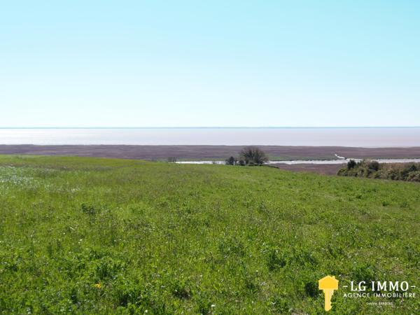 Votre recherche de biens