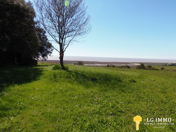 Votre recherche de biens