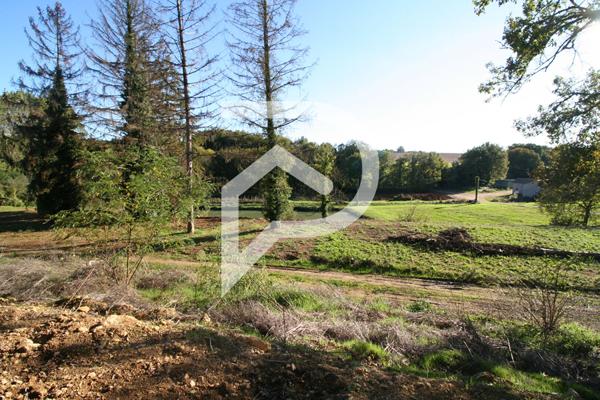 DOMAINE AVEC MAISON, HANGARS, ETANGS ET COTEAUX