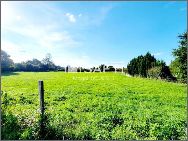 Terrain constructible de 1649 m² plat.