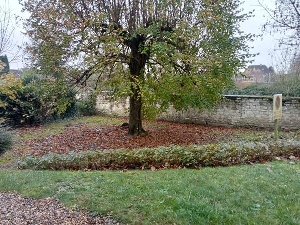 Appartement à louer de 2 pièces principales situé à Margny les Compiègne