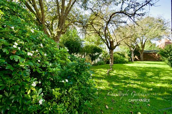 entre un appartement et une maison, 2 Chambres et bureau avec Grand Jardin et Terrasse