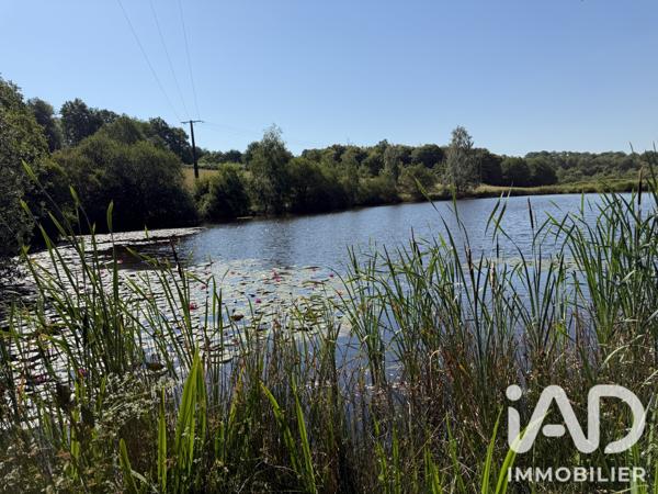 Terrain à vendre 43 080 m² Châlus