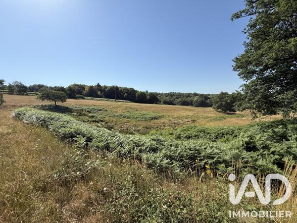 Terrain à vendre 43 080 m² Châlus