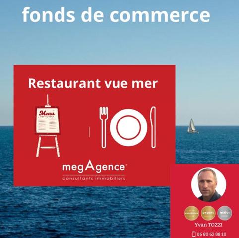 Fonds De Commerce à LES SABLES-D'OLONNE, 85100 - 350m²