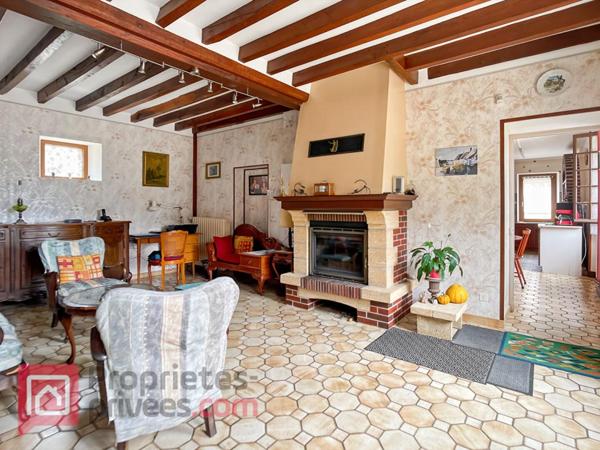 Maison Montigny La Resle 7 pièce(s) 195 m2