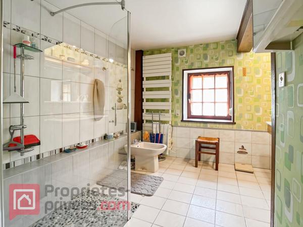 Maison Montigny La Resle 7 pièce(s) 195 m2