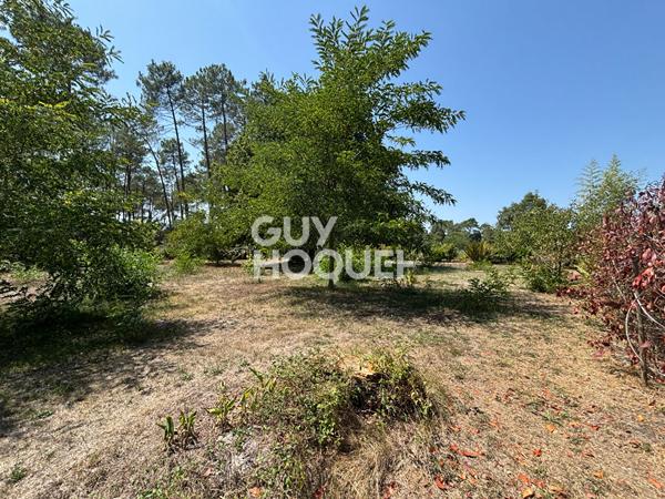 Terrain hors lotissement à Onesse Laharie d'une surface de 1284 m²