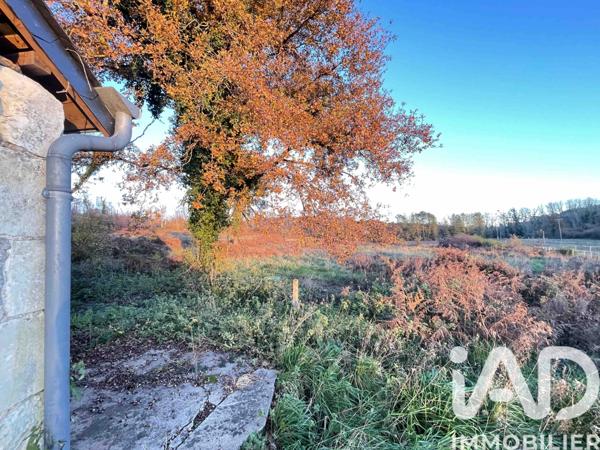 Maison à vendre 4 pièces 133 m² Bourgueil