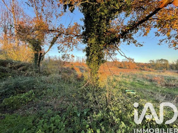 Maison à vendre 4 pièces 133 m² Bourgueil