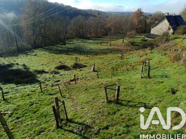 Maison à vendre 9 pièces 265 m² Vebret