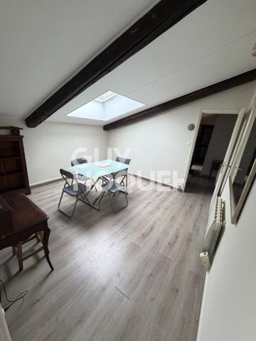 Appartement T2 Meublé - dernier étage - plateau croix rousse