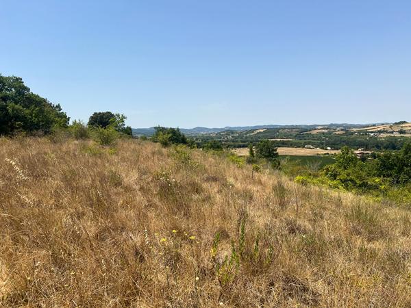 Terrain à bâtir Limoux 14700 m²