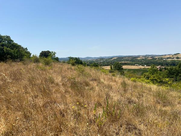 Terrain à bâtir Limoux 14700 m²
