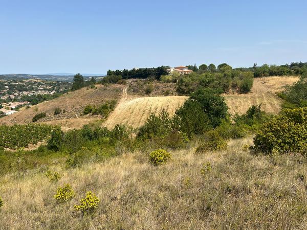 Terrain à bâtir Limoux 14700 m²