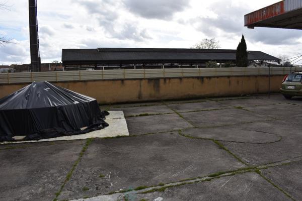 VIAGER LIBRE UNE TETE RENTE 3500 EUROS