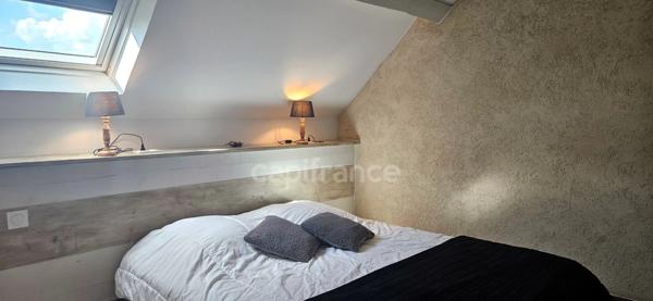 Noyers-sur-Cher (Loir-et-Cher), à vendre LONGERE 11 pièces de 232 m²