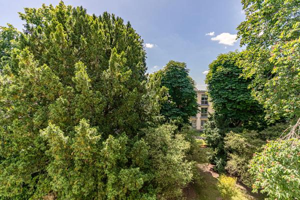 Bas de Chatou Appartement 5 pièce(s) 92.5 m² €599 000 ** - Référence 162065