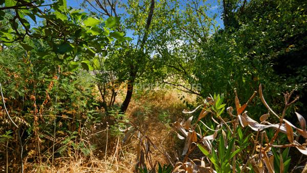 Vente
                Maison127,35 m² - 5 Pièces -
                    ALBI (81000)