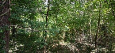 Bien agricole à vendre à Genouilly dans le Cher (18310), ref : 142553G