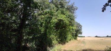 Bien agricole à vendre à Genouilly dans le Cher (18310), ref : 142553G