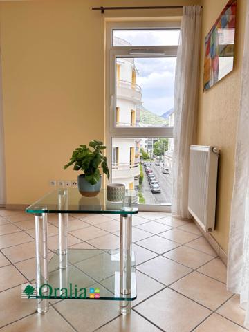 Appartement · Location Grenoble (38000) 3 pièces · 53m²