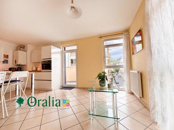 Appartement · Location Grenoble (38000) 3 pièces · 53m²