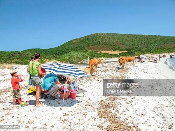 À vendre - Maison mitoyenne 1 côté, 3 pièces située à Tomino (20248)