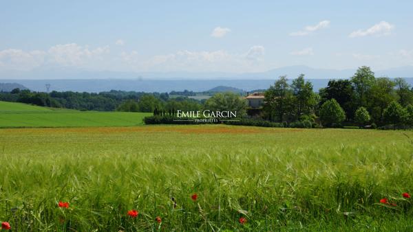 A vendre - Campagne provençale de près de 20 hectares - A Forcalquier