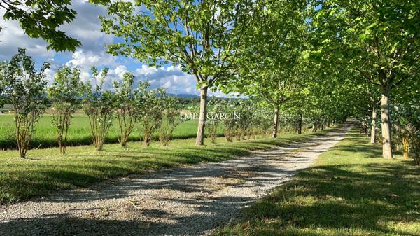 A vendre - Campagne provençale de près de 20 hectares - A Forcalquier