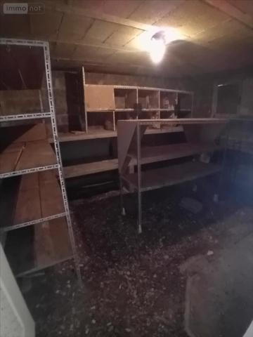 Pavillon à vendre à Ruaudin dans la Sarthe (72230), ref : 72012-1082301