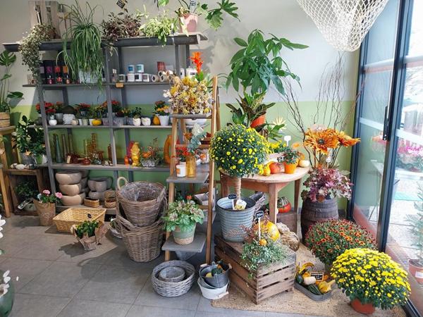 SECTEUR SAINTES - FLEURISTE, PLANTES, DECORATION
