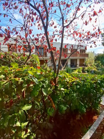 SURESNES Ecrin de verdure comme une maison
