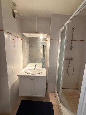Grenoble Lumineux T3 Duplex idéal investisseur