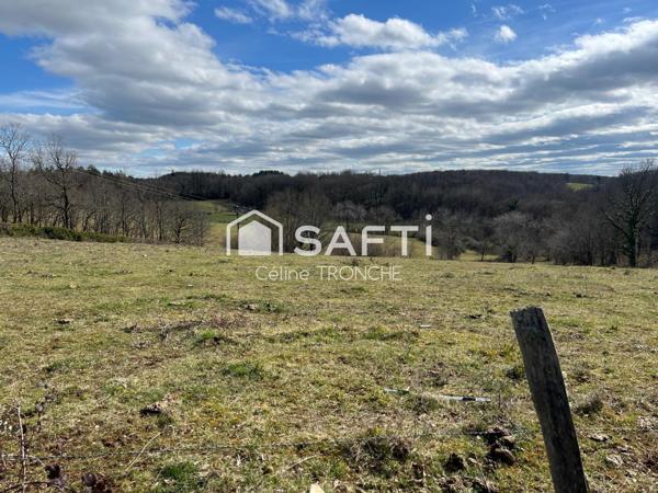 Terrain constructible