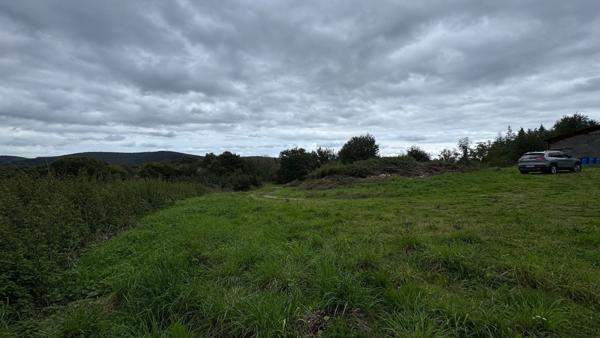 Saint-Martin-du-Puy (58140) Entrepot de 800 M2 sur 11135 M2 de terrain