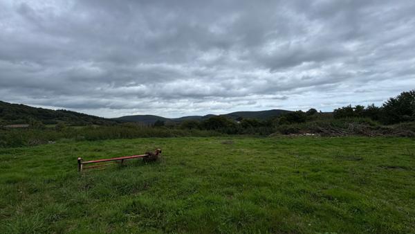 Saint-Martin-du-Puy (58140) Entrepot de 800 M2 sur 11135 M2 de terrain