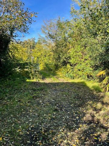 Maison de maître à vendre à Bordeaux en Gironde (33200), ref : 11548/168 Les Maréchaux