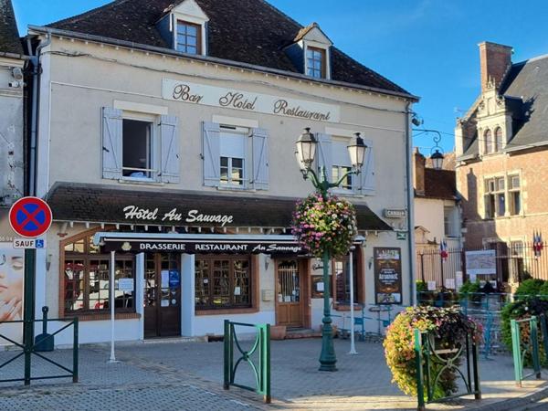 HOTEL, BAR, RESTAURANT - SECTEUR MONTARGIS et FORËT D'ORLEANS