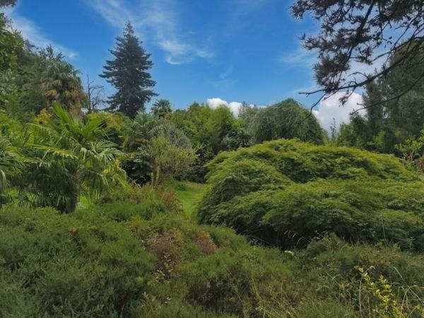 Maison MAÏTRE Salies De Bearn 21 pièce(s) 500 m2