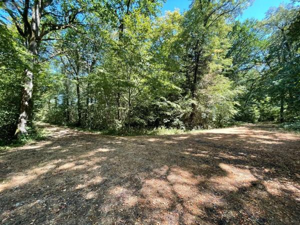 Achat - Terrain de loisirs, bois, étangs Alençon 61000 299300 m 2