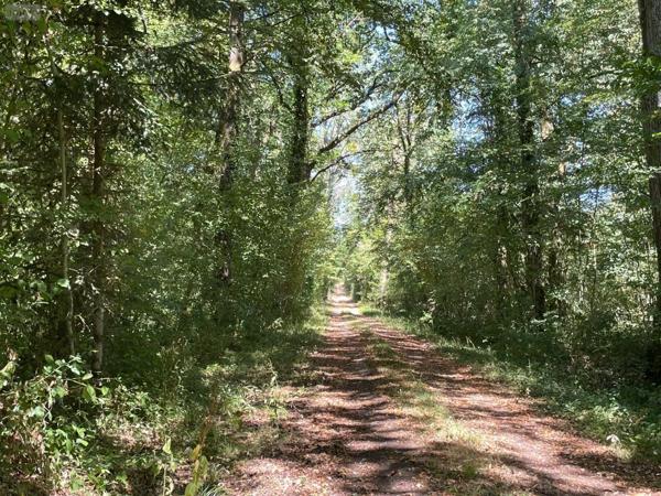 Achat - Terrain de loisirs, bois, étangs Alençon 61000 299300 m 2