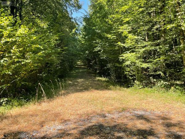 Achat - Terrain de loisirs, bois, étangs Alençon 61000 299300 m 2